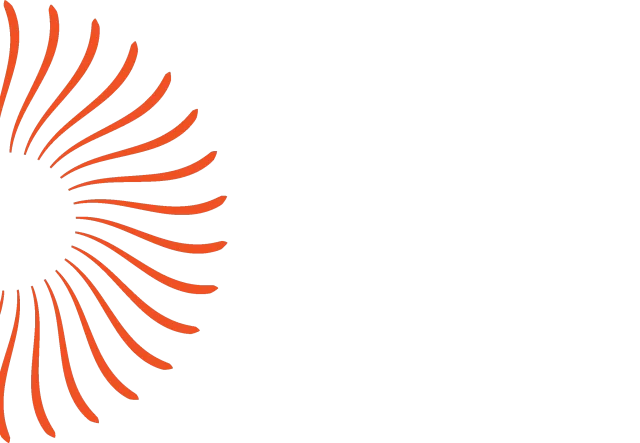 Hot Yoga, Vinyasa & Yin Yoga