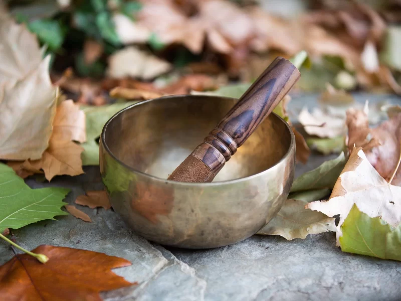 A workshop that beautifully combines the calming practices of Yin Yoga, Acupressure, Nidra, and the soothing sounds of Crystal Bowls.